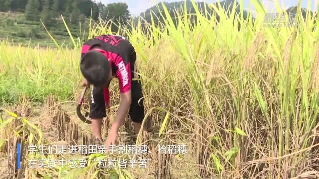 贵州余庆:田间地头的“开学第一课”