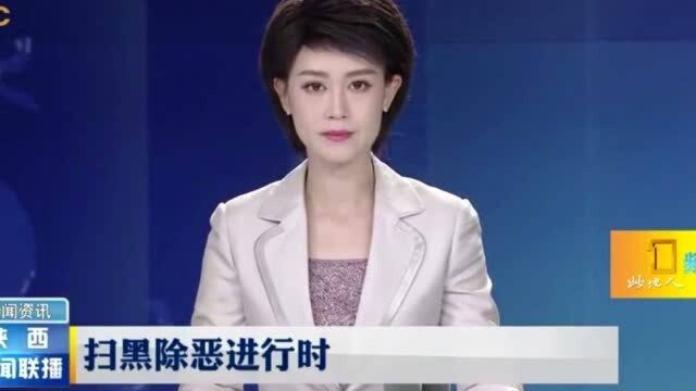 葛七宝等53人,黑社会组织被宣判,有期徒刑24年