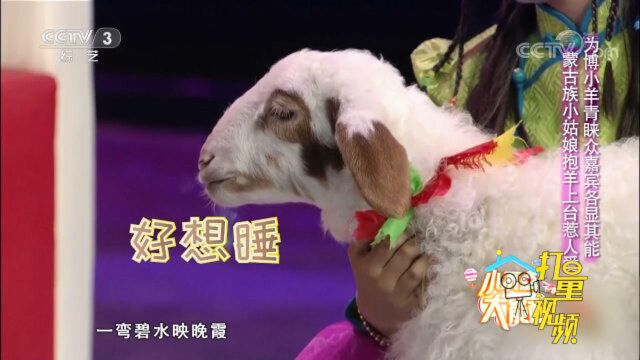 小姑娘和小羊羔互动演唱《快乐的牧羊人》,场面太温馨