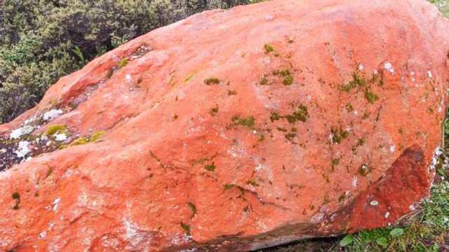 西藏自驾旅行十二集:高速公路提示—重要水体,谨慎驾驶!你懂吗