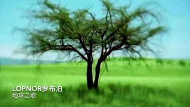 新世纪音乐大师卡努纳什《Earthsong》感受热情神秘的热带雨林