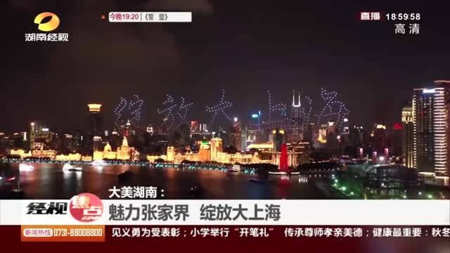 大美湖南!魅力张家界 绽放大上海