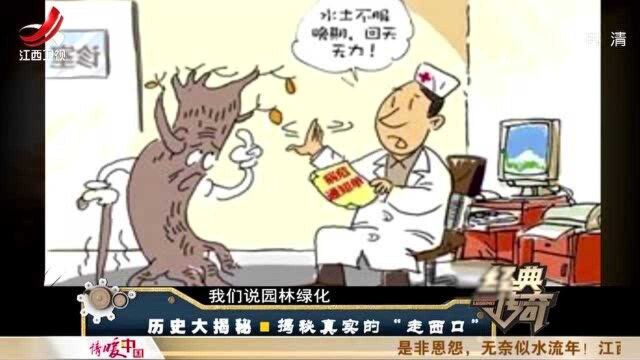 杀虎口早前其实另有名字:杀胡口,背后还有一段小历史