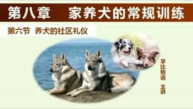 《爱犬警用素质训练速成》8.6 养犬的社区礼仪