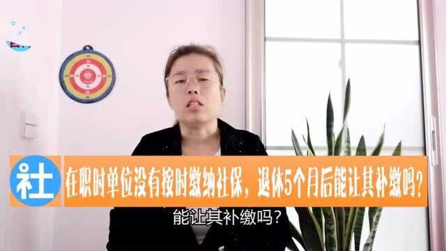 单位没有按时缴纳社保,退休5个月后,能让其补缴吗?