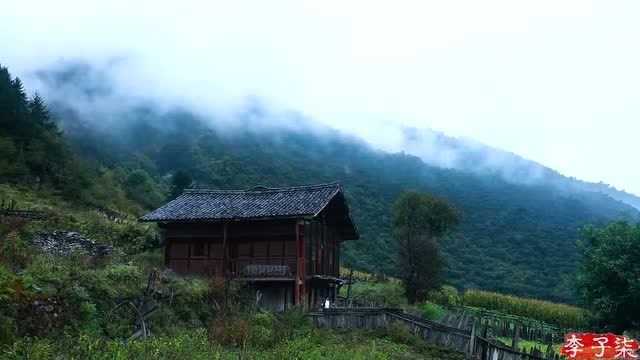 下着蒙蒙细雨,仓鼠在觅食,李子柒带干粮挖蘑菇