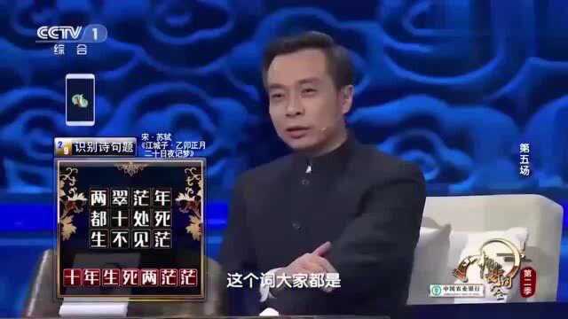 “十年生死两茫茫,不思量自难忘”,康震为你解读诗词背后的故事