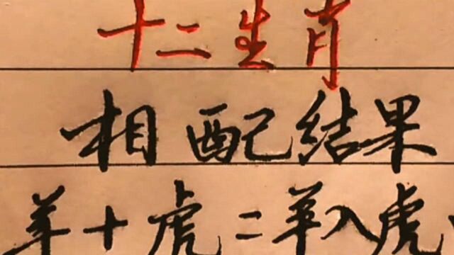 十二生肖的相配结果,千万别羊入虎口鸡犬不宁,这些真相你有必要知道