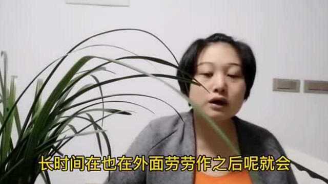 蕙兰寓意“蕙质兰心”, 新林和你分享浓浓香味的蕙兰如何养护