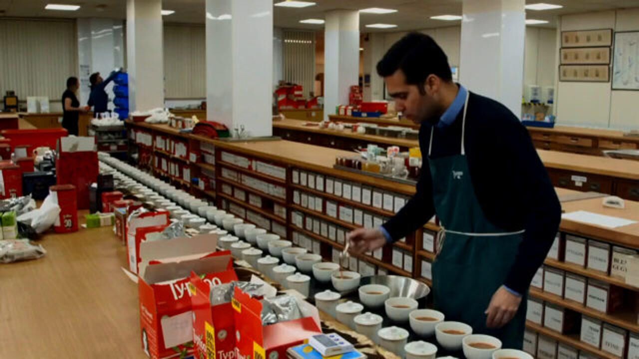 成品茶包生产前的原料品评有多少讲究?四名品茶专员已经开始忙碌起来了!