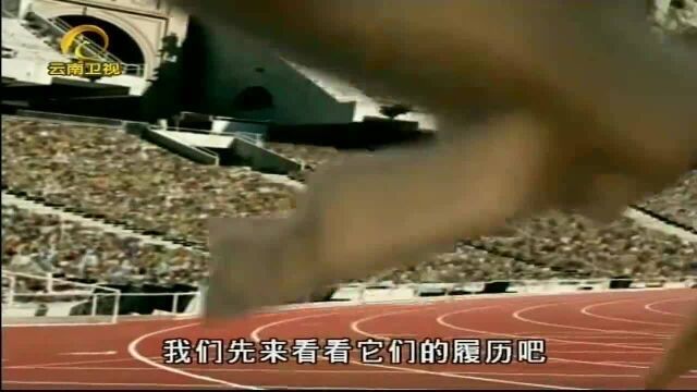 经典回顾:100米短跑比赛上,猎豹未能赢得第一,环颈蜥意外反超!