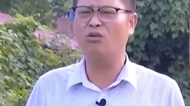 鳗苗的生长速度不同 每隔一个月左右要进行分疏 养殖周期长