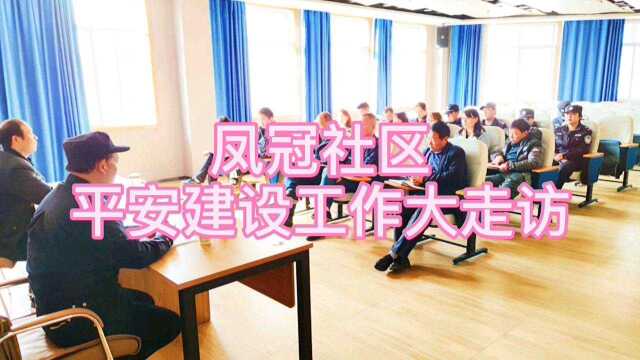 丹凤县龙驹寨街道办凤冠社区平安建设工作大走访