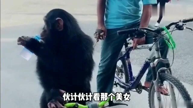 搞笑集合:今天我看见同事帮忙推车的,我决定我以后一定不能跟他吵