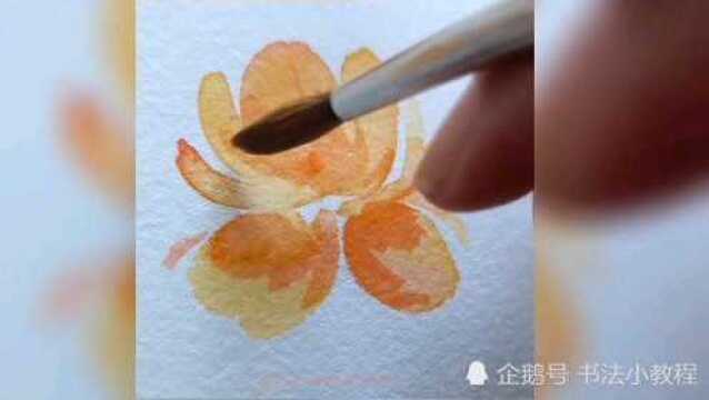 水彩画花卉,花瓣渲染细节过程分享