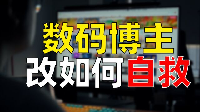 从华强北的引流卖机到商业恰饭,职业数码博主该何去何从?