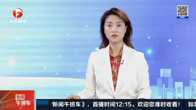 合肥:登记上牌格外忙 街头巷尾任你选