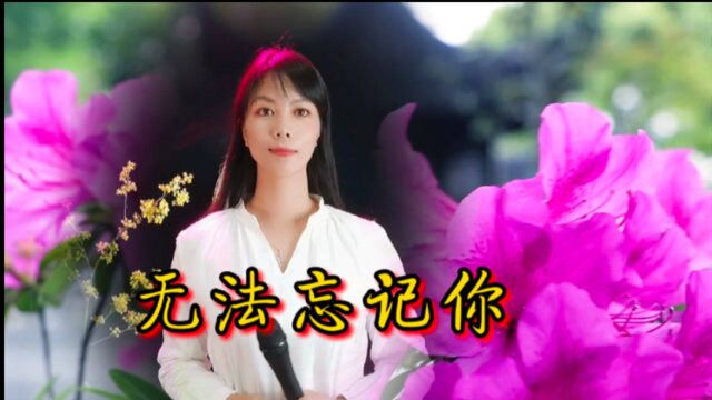 一首民谣歌曲《无法忘记你》句句入心,听醉多少痴情人