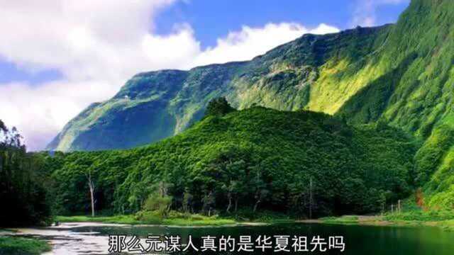 元谋人是华夏祖先?巫山发现214万年的臼齿化石,华夏祖先又变了