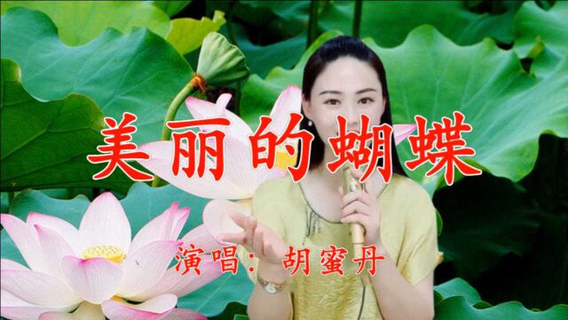 胡蜜丹一首《美丽的蝴蝶》欢快悦耳,甜美悠扬,令人深深陶醉!