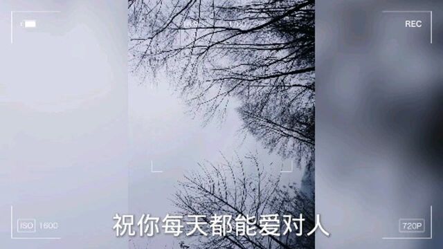 这个是我自己拍的,如果要图片的可以找我哦