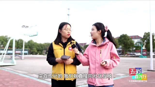 五彩嘉兴行乍浦红色