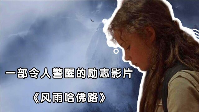 真实故事改编,从乞丐到考上哈佛,相信光的女孩《风雨哈佛路》