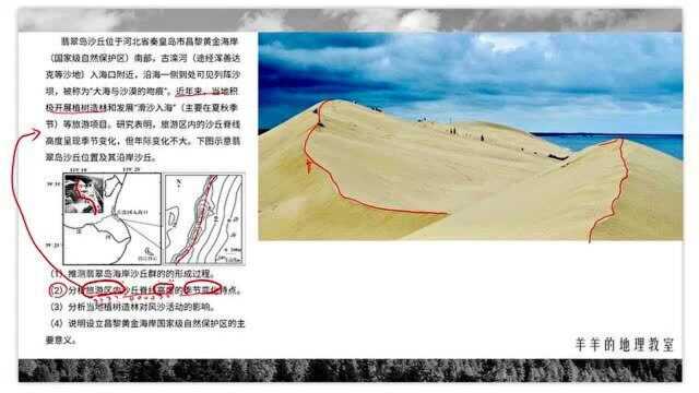 试题精讲系列—— 【13】海岸沙丘(下集)