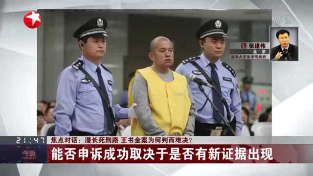 漫长死刑路 王书金案为何判而难决?