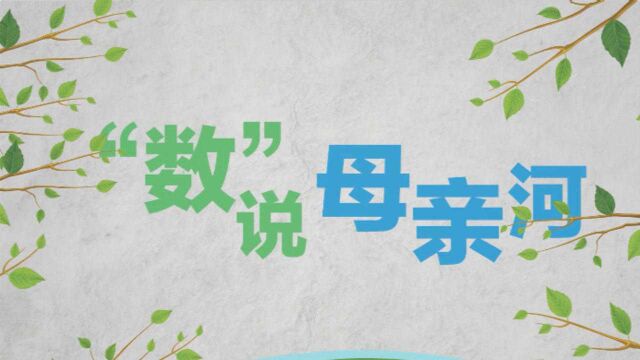 “数”说母亲河|告别20年打渔生活的老宋 见证北滨路变化