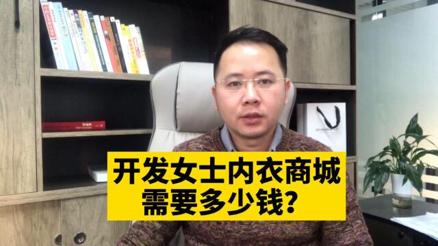 市场刚需!开发女士内衣零售批发商城小程序需要多少钱呢?