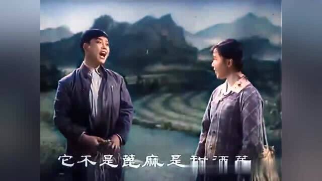 魏云王善朴豫剧电影《朝阳沟》1963渲染彩色版,双上山太好看了