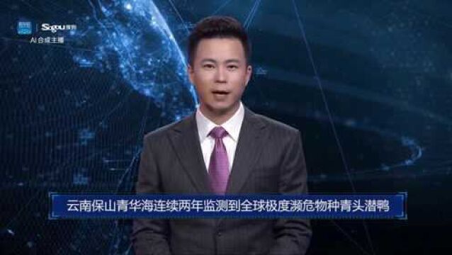 AI合成主播丨云南保山青华海连续两年监测到全球极度濒危物种青头潜鸭