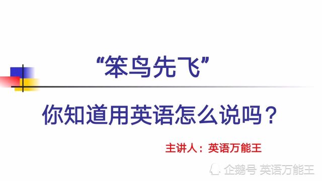 英语热词跟我学:每天进步一点点!“笨鸟先飞”英语怎么说?