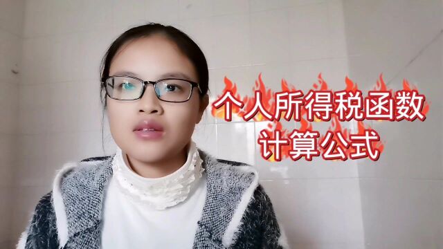 个人所得税函数计算公式