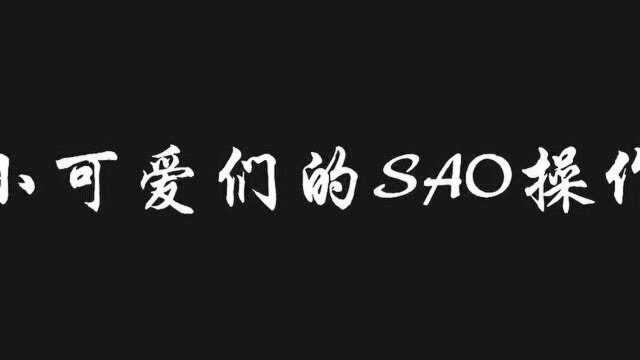 小可爱们的SAO操作.