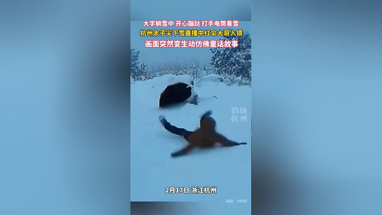 杭州太子尖雪景直播时,红伞大哥突然入镜在雪地玩耍羡煞网友