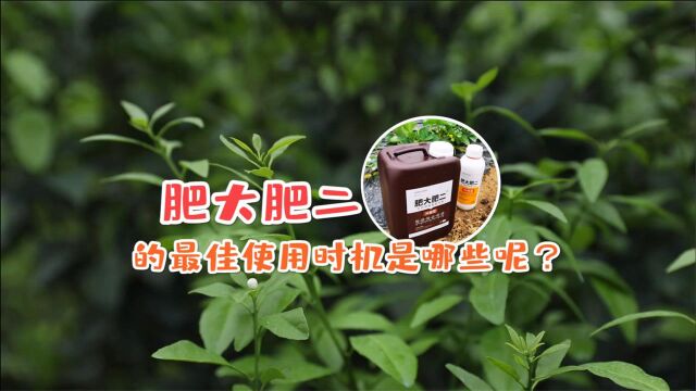 知识课堂:肥大肥二全作物智能营养配方肥,最佳使用时机有哪些?