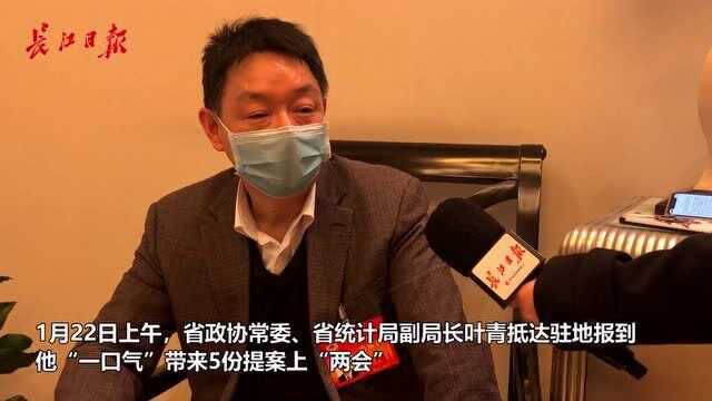 省政协常委、省统计局副局长叶青:力推武汉申建国家长江文化公园