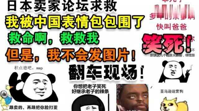 老外看中国:日本卖家被中国表情包包围了,去论坛求救找翻译,翻车现场笑死