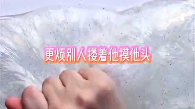 我的温柔是一次次教训所得来的