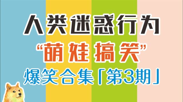 搞笑合集:和熊孩子玩成语接龙,吃亏总是来的措不及防!人类迷惑行为集锦