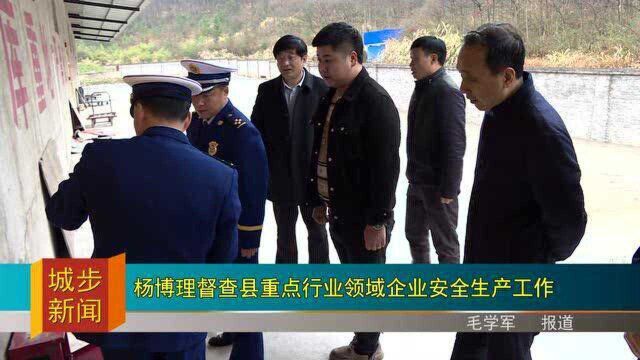 杨博理督查县重点行业领域企业安全生产工作