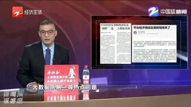 平台经济领域反垄断指南来了