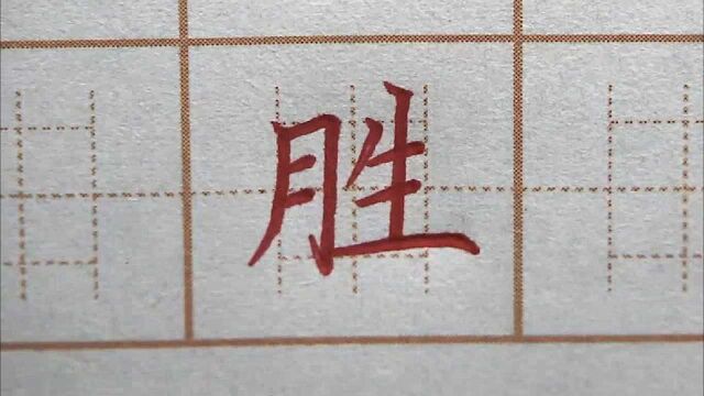 胜利就在前方,二年级生字:胜,硬笔书法练字正楷字字帖写字