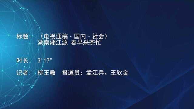 (电视通稿ⷥ›𝥆…ⷧ侤𜚩湖南湘江源 春早采茶忙