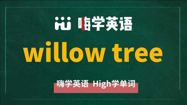 英语短语willow tree的翻译、读音、使用方法讲解