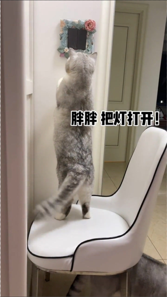 540?max_age=7776000