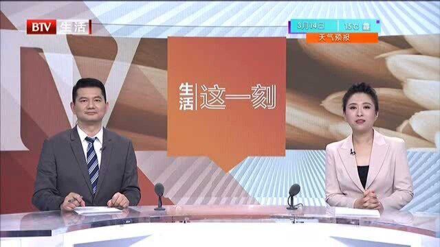 征集:天天315 维权在行动