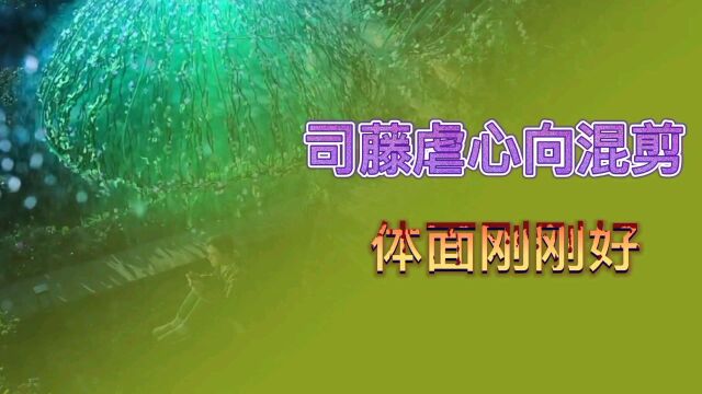 用一种特别的方式打开影视《司藤》虐心向混剪‖体面,刚刚好